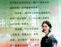 《希波克拉底》好看吗？经典观后感10篇