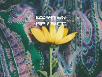 关于神秀的唯美语录