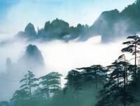 罗汉的句子