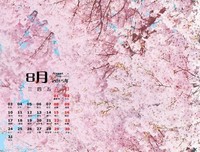 《小森林 冬春篇》影评精选10篇