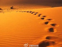 《苦路十四站》观后感精选10篇