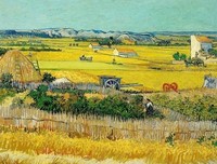 最全的《青春》经典语句