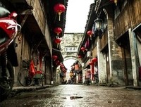 紫阳系列读后感精选10篇