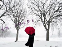 关于双燕的唯美语录