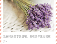 文字的心情