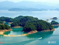 孤独地坚守