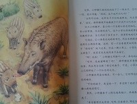 co-Trip小游趣：大阪读后感10篇