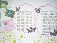 我们去找小昆虫3：昆虫的语言经典读后感10篇