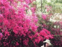 描写莞尔一的经典句子