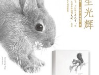 最新的吉米·哈利经典语录