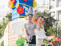 孔雀选美