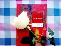 最全的《他与月光为邻》经典的句子