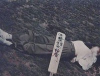 关于任雪的格言