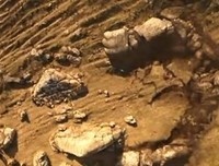 《地狱医院》经典影评集