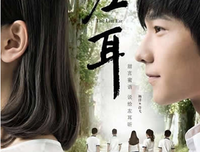 《爱情不设限》读后感精选10篇