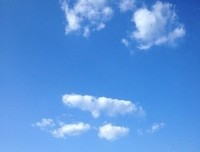 《活成自己就好了》读后感10篇