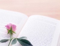 最新的橘花散里名言大全