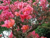 《 追踪 师》读后感10篇
