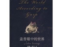 《盖普眼中的世界》的读后感10篇