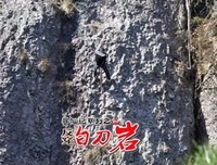 纸上寻仙记的读后感10篇