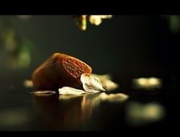 藤萍名言名句