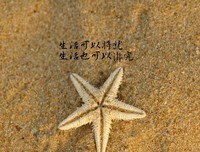 15条关于林生的经典语句