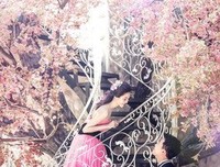 如无相欠，怎会相见
