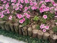 【听友】你要很多的爱，就注定要受很多的苦！