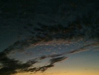有人与我立黄昏