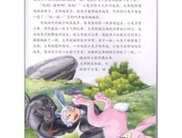 家在北京的读后感10篇