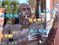 “沈腾回来了”
