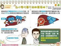 葡萄柚的读后感10篇
