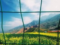 当时挺住就好了的读后感10篇