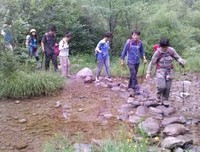 恰似风吹过