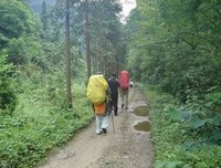 《再见溪谷》的影评10篇