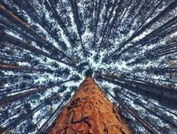 我想和你好好的读后感10篇