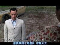《阿甘正传》电影台词