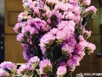 谢谢你，愿意帮我带孩子
