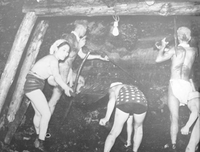 高级女人私生活日记：尺度感才是女人的顶级魅力
