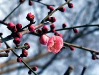有谁愿意，以今生换永生——永远的平安？