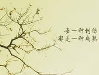 在痛苦的时候要善于寻找光
