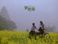 把青春唱完1990-1999的读后感10篇