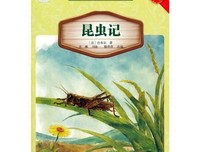 《虫子的世界》的读后感10篇