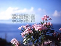 最经典的习乙名言大全
