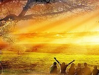 同学情，一朵永不凋零的花
