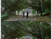 最经典的《第二春》佳句摘抄大全