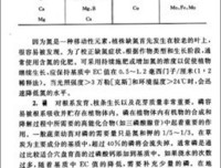 《蔬菜之神》经典读后感10篇