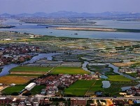 15条关于桑海沧田的经典语句