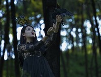《林中女妖》影评10篇