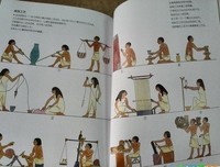 《你一定爱读的极简世界史》经典读后感10篇